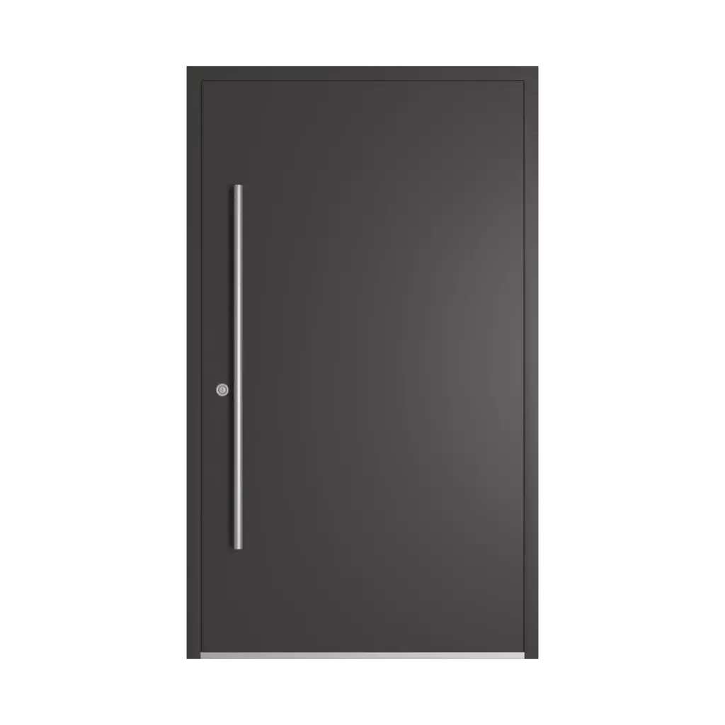 RAL 8019 Grey brown entry-doors models-of-door-fillings dindecor rl08  