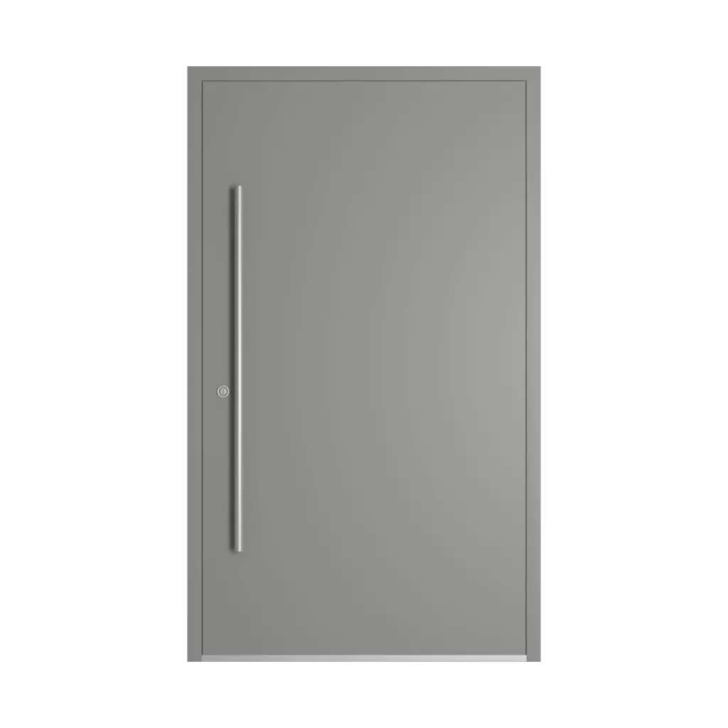RAL 9007 Grey aluminium entry-doors models-of-door-fillings wood without-glazing
