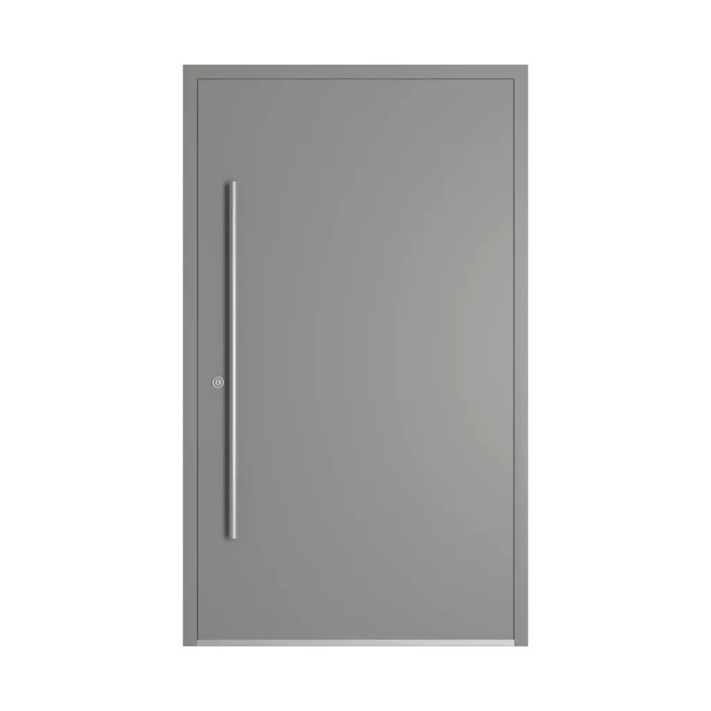 RAL 9007 Grey aluminium entry-doors models-of-door-fillings dindecor model-2801-st  