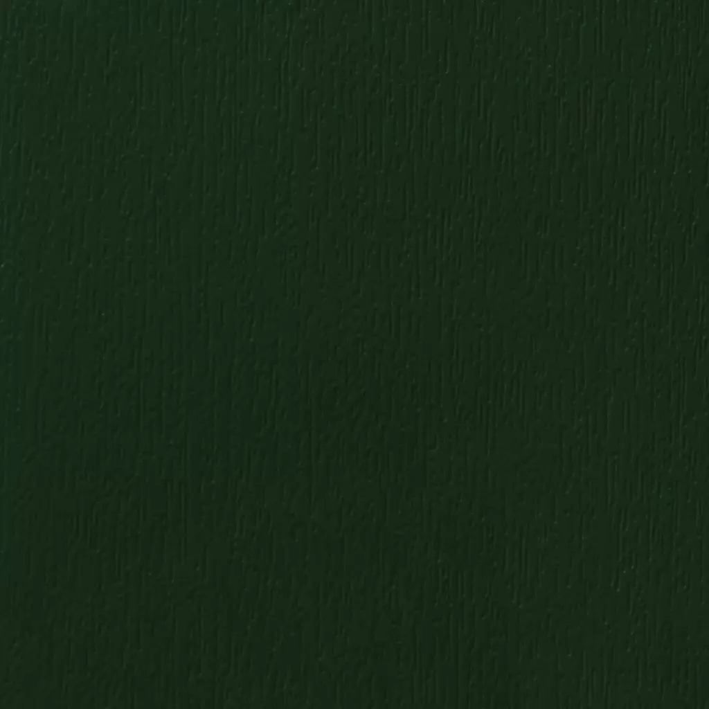 Dark green entry-doors door-colors standard-colors dark-green texture