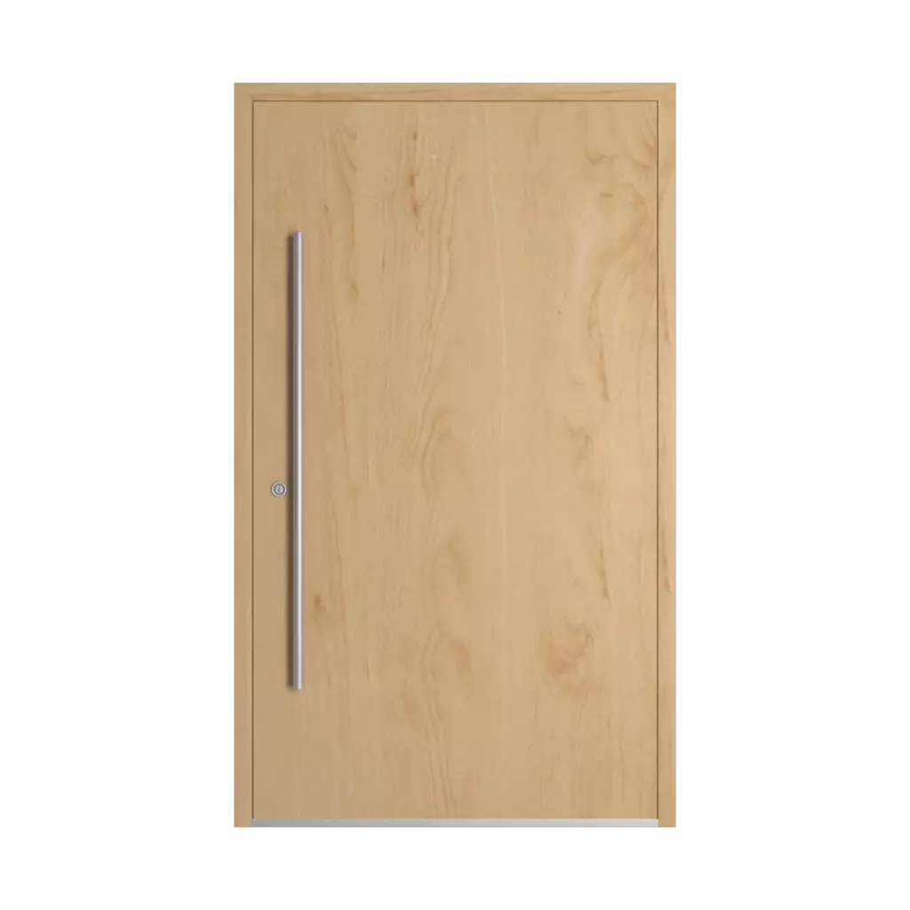Birch entry-doors models-of-door-fillings dindecor sk06-grey  