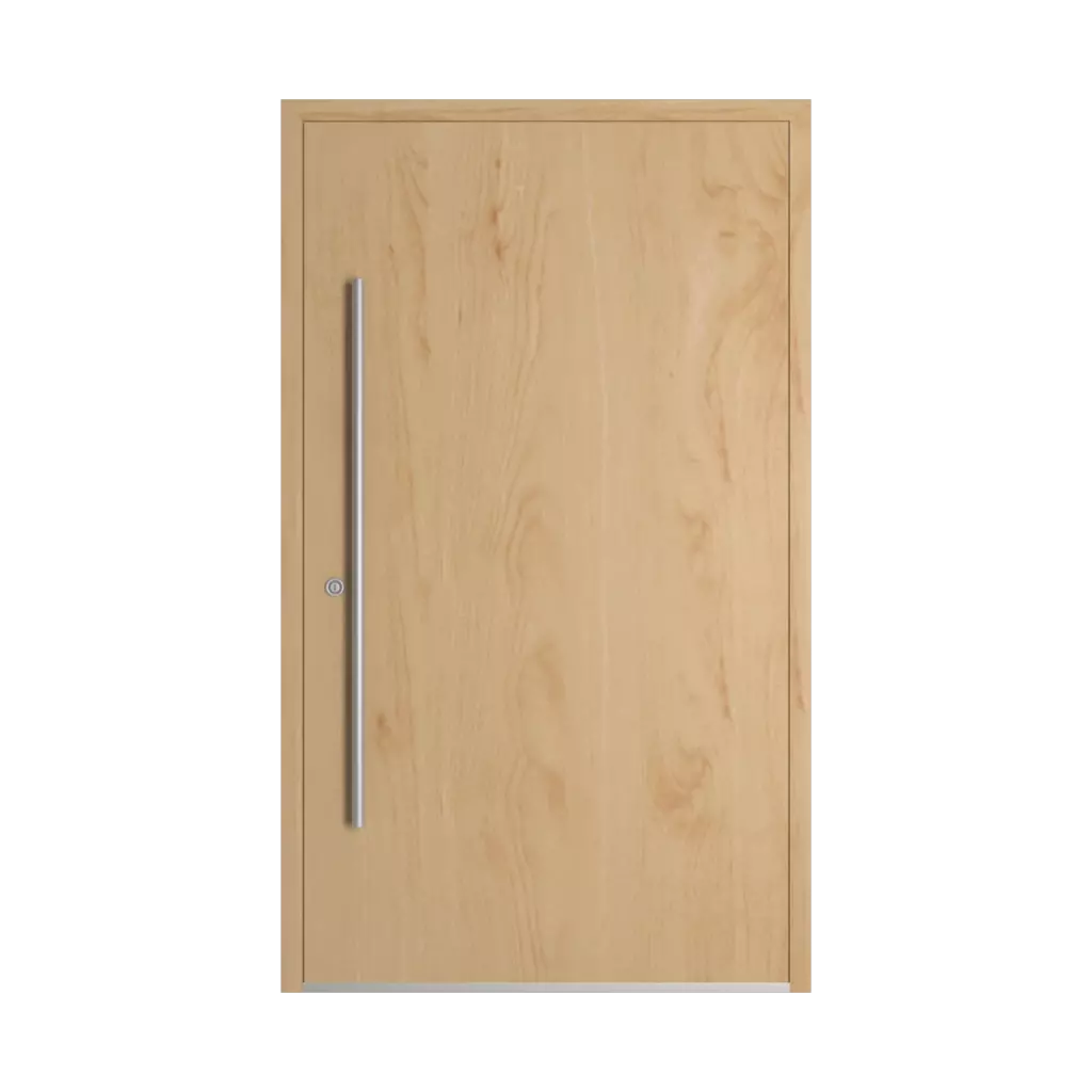 Birch entry-doors models-of-door-fillings dindecor model-5015  