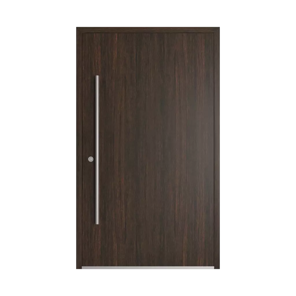 Dark oak entry-doors models-of-door-fillings dindecor 6011-pvc-black  