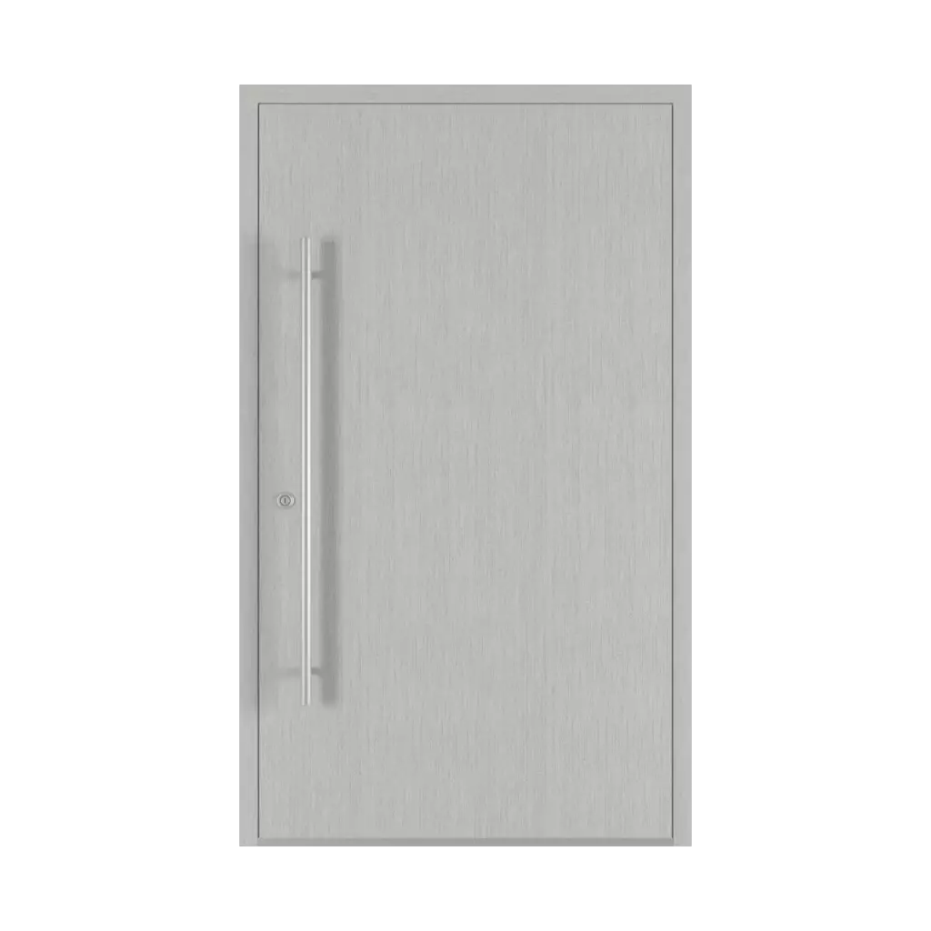 Metbrush aluminium entry-doors models-of-door-fillings dindecor 6120-pwz  