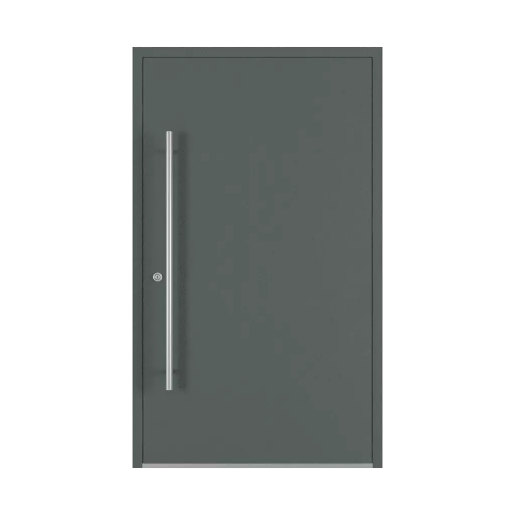 Basalt gray entry-doors models-of-door-fillings dindecor model-5015  