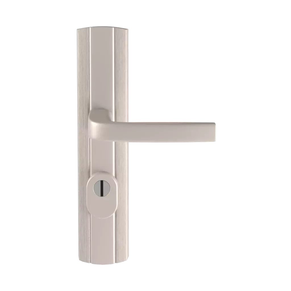 Inox entry-doors door-accessories handles prestige-class-c-with-security inox 