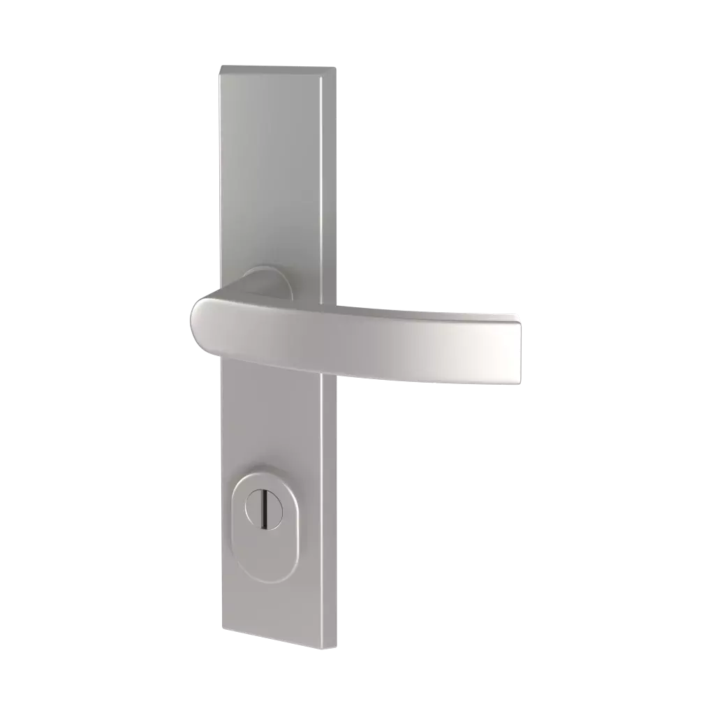 Handles entry-doors door-accessories door-knobs apollo 