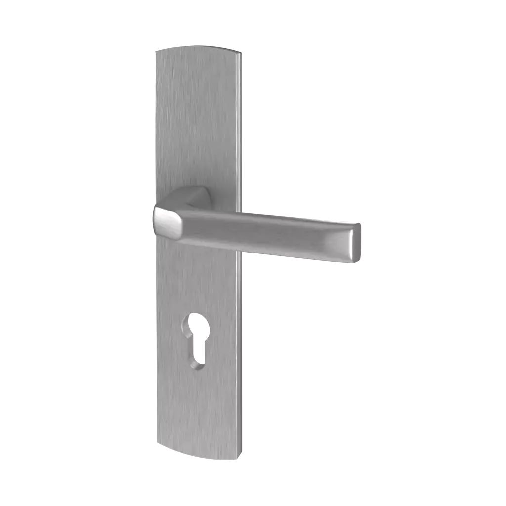 Inox entry-doors door-accessories handles prime interior