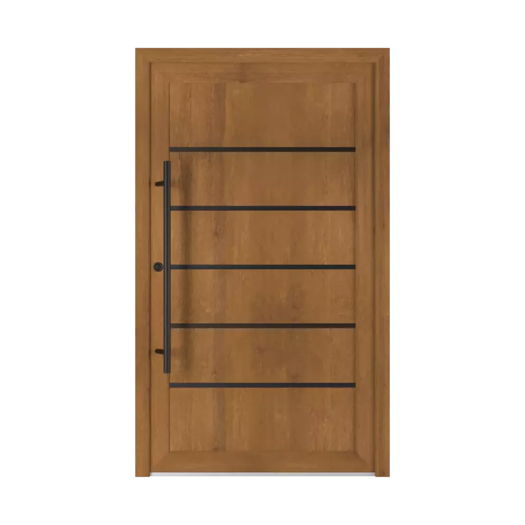 Model 6013 PVC Black products entry-doors    