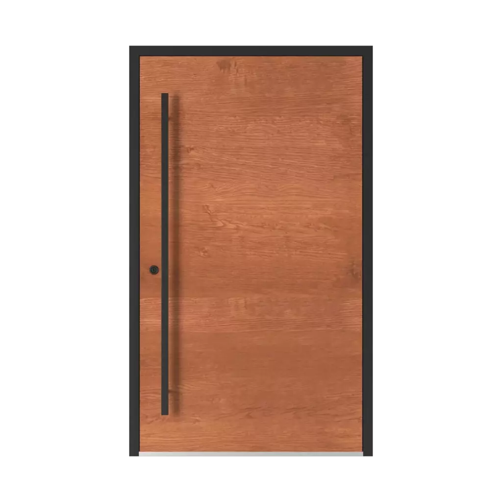 Model 5015 WD products entry-doors    
