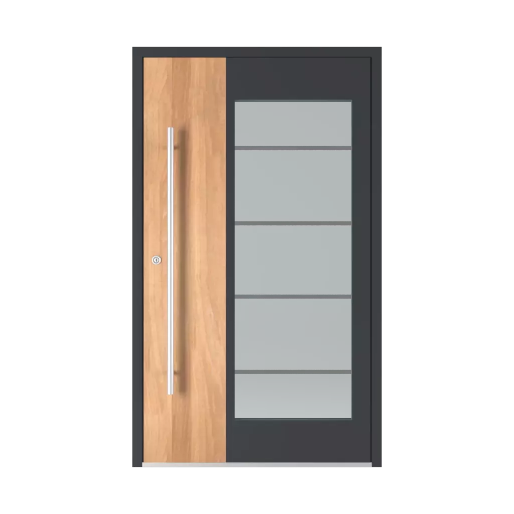 Model 6110 ✨ entry-doors models-of-door-fillings aluminum glazed model-6110 
