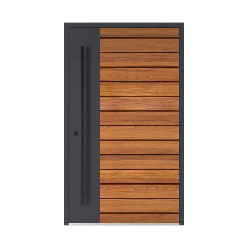 Model 6123 ✨ entry-doors door-colors ral-colors ral-5026-pearl-night-blue 