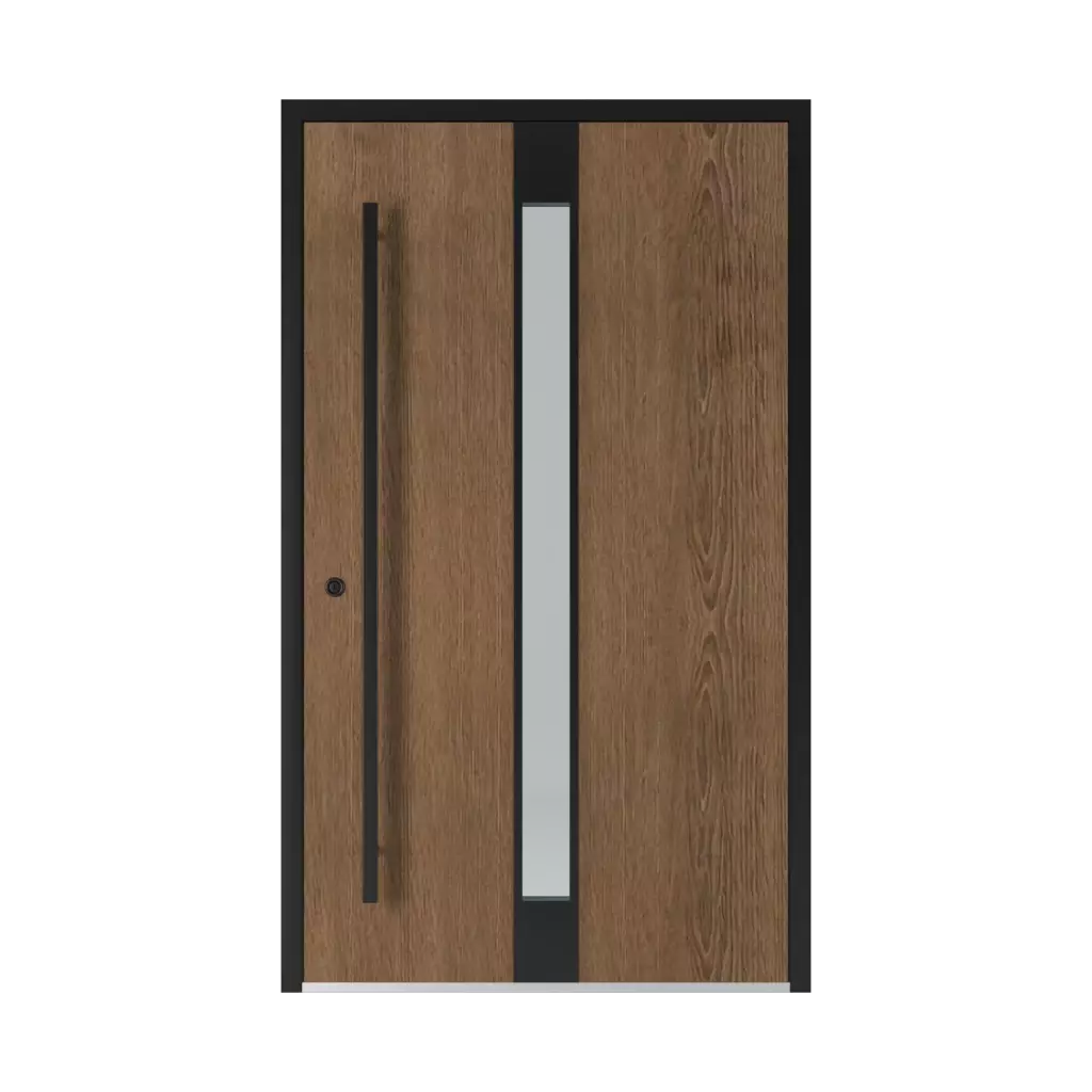 Model 1401 Black products entry-doors    