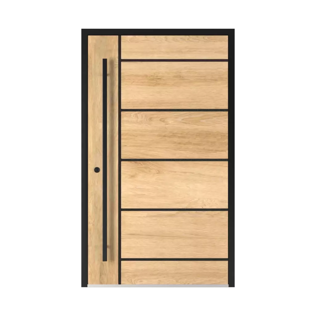 Model 2801 Black products entry-doors    