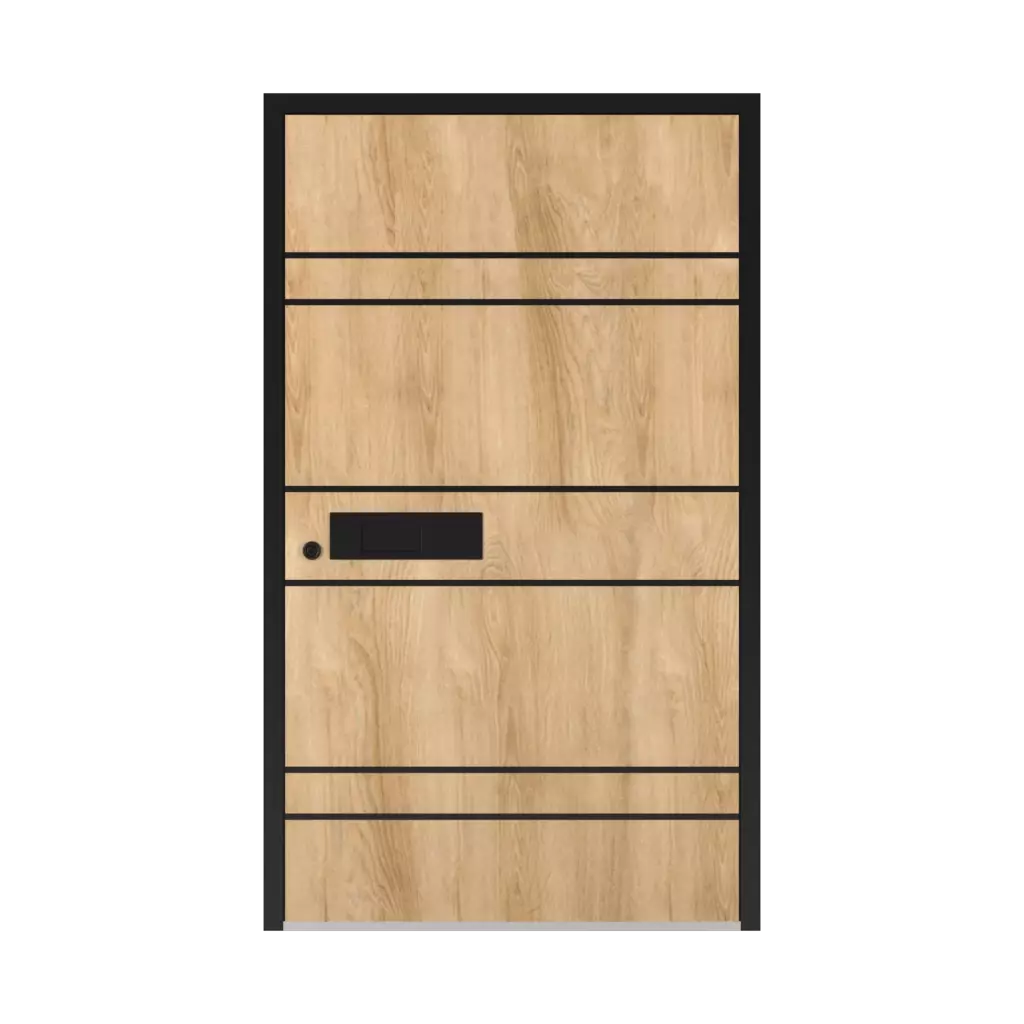 Model 5018 Black products entry-doors    