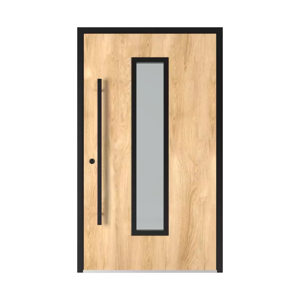 Model 6002 Black products entry-doors    