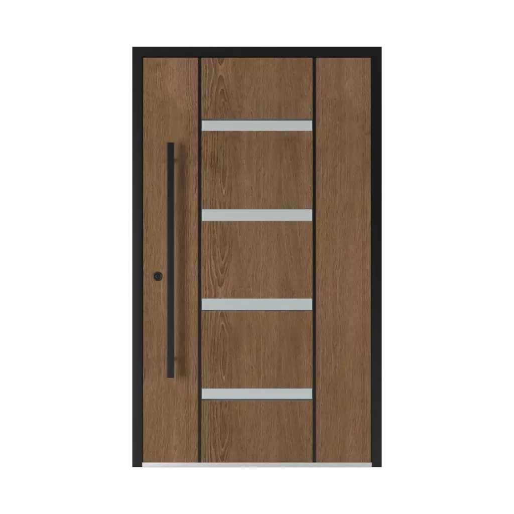 Model 6102 Black products entry-doors    