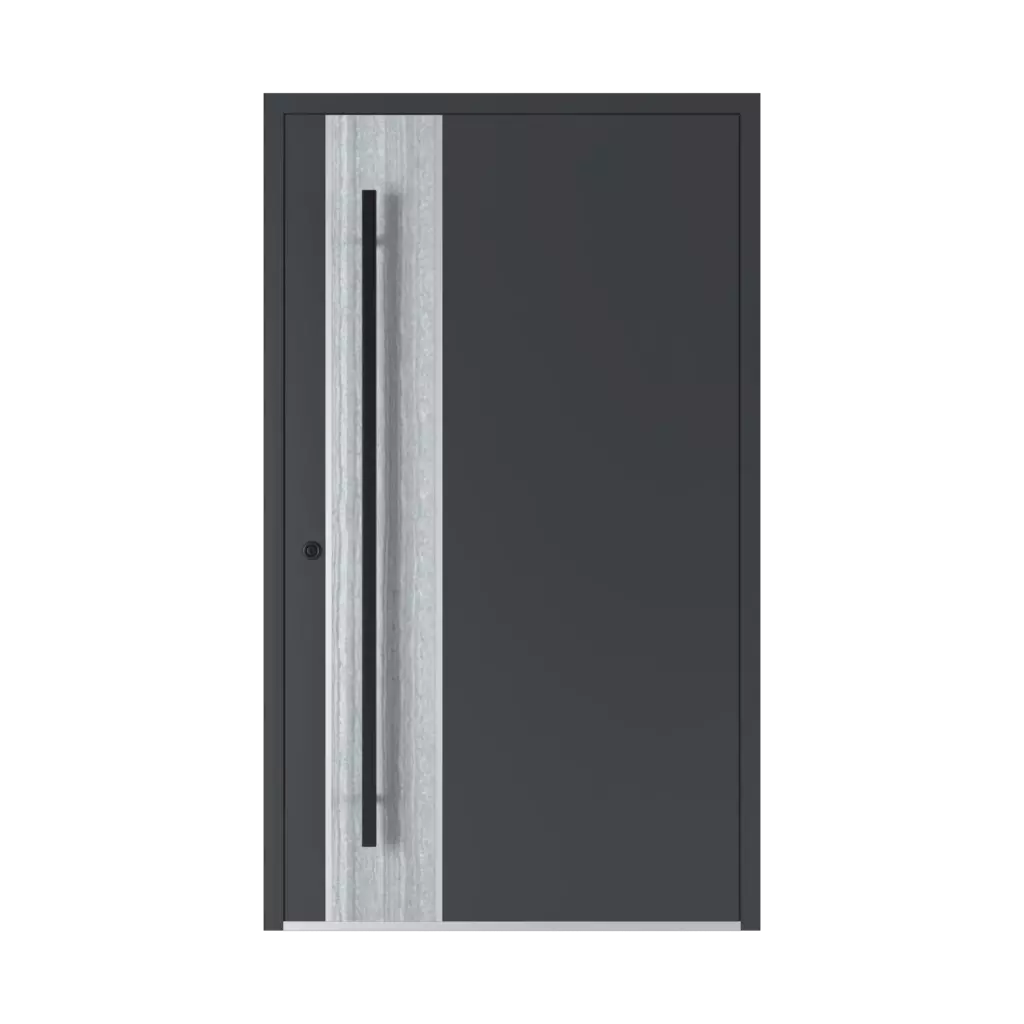 SL 05 model products aluminum-entry-doors    