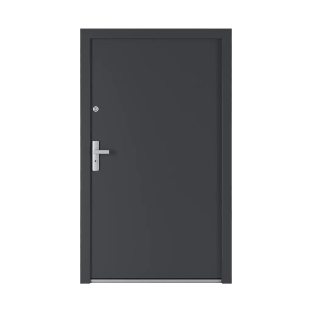 Model 41 products entry-doors    