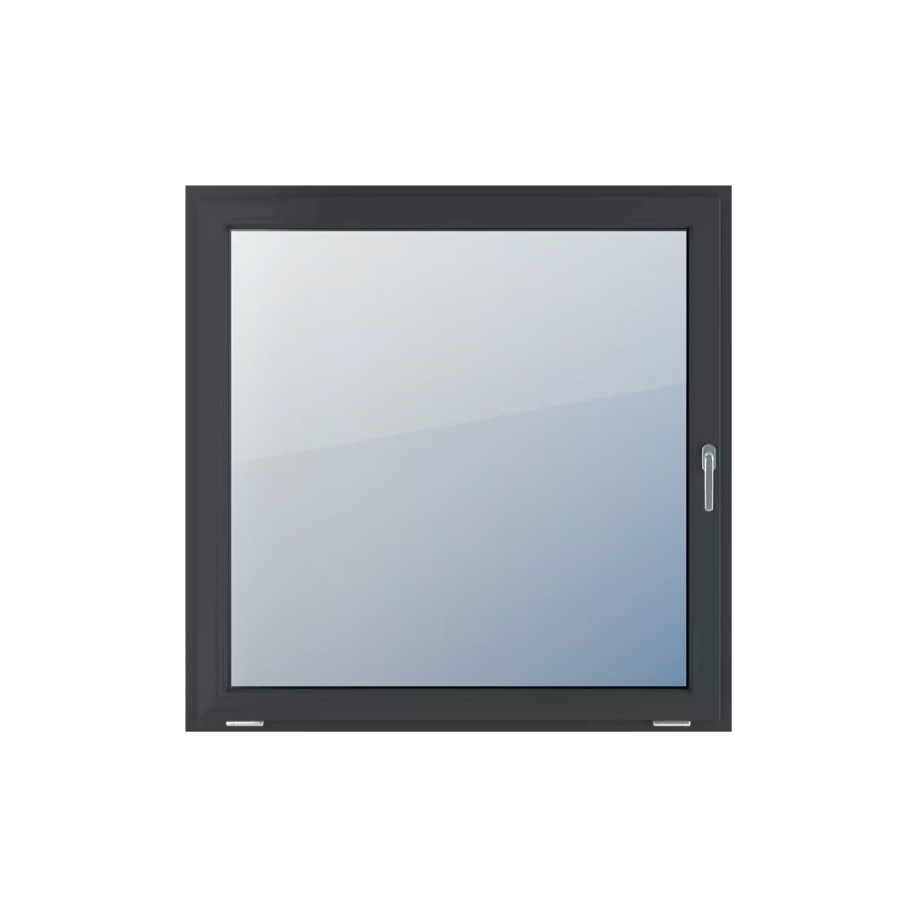 Single-leaf windows window-types    