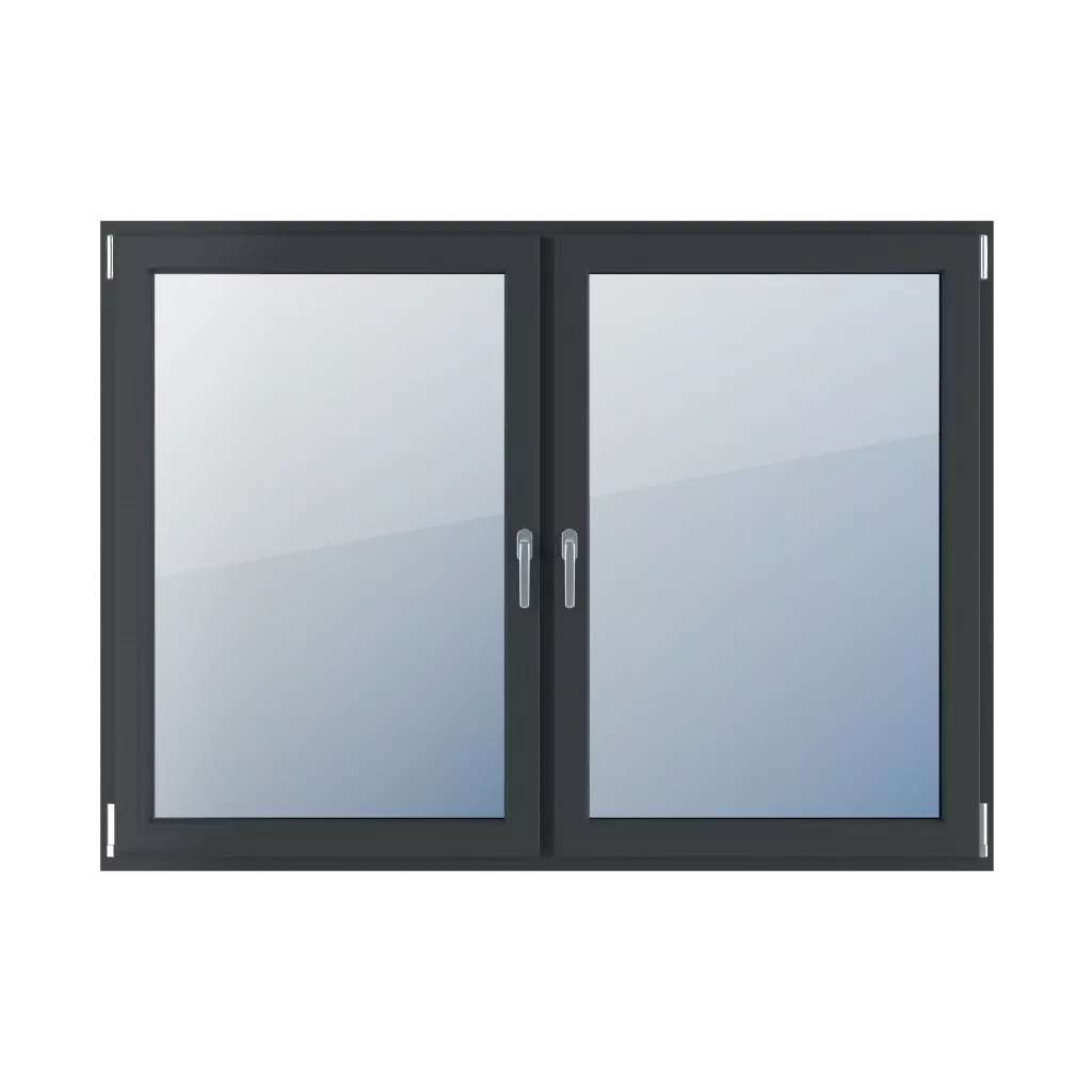 Double-leaf windows window-types    