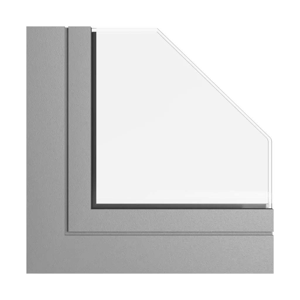 Steel gray 2 tiger windows window-colors aliplast-colors