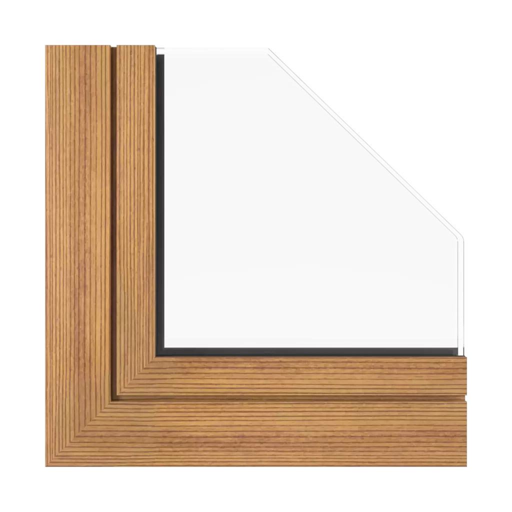 Dark fir windows window-colors aluprof-colors