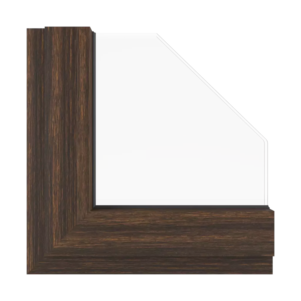 Ebony windows window-colors aluprof-colors ebony interior