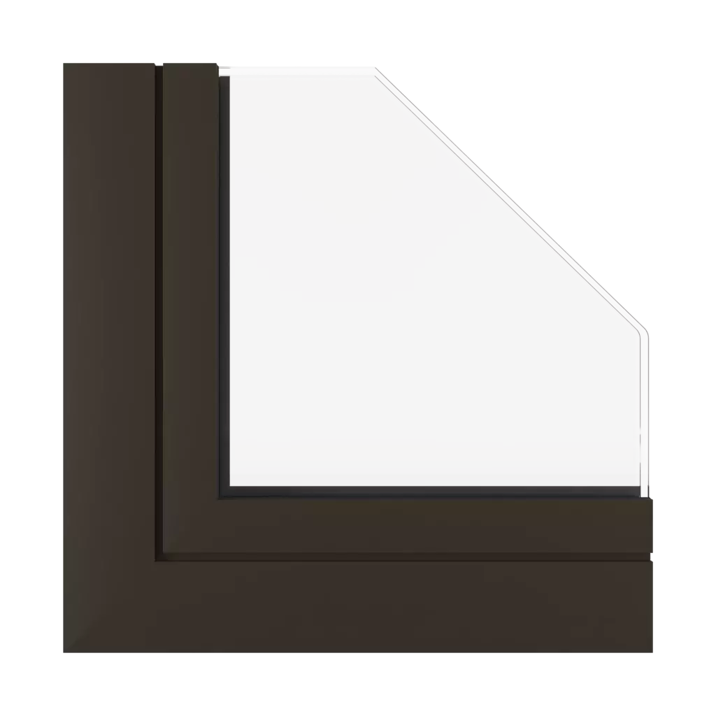 Dark brown SK windows window-profiles aluprof mb-skyline