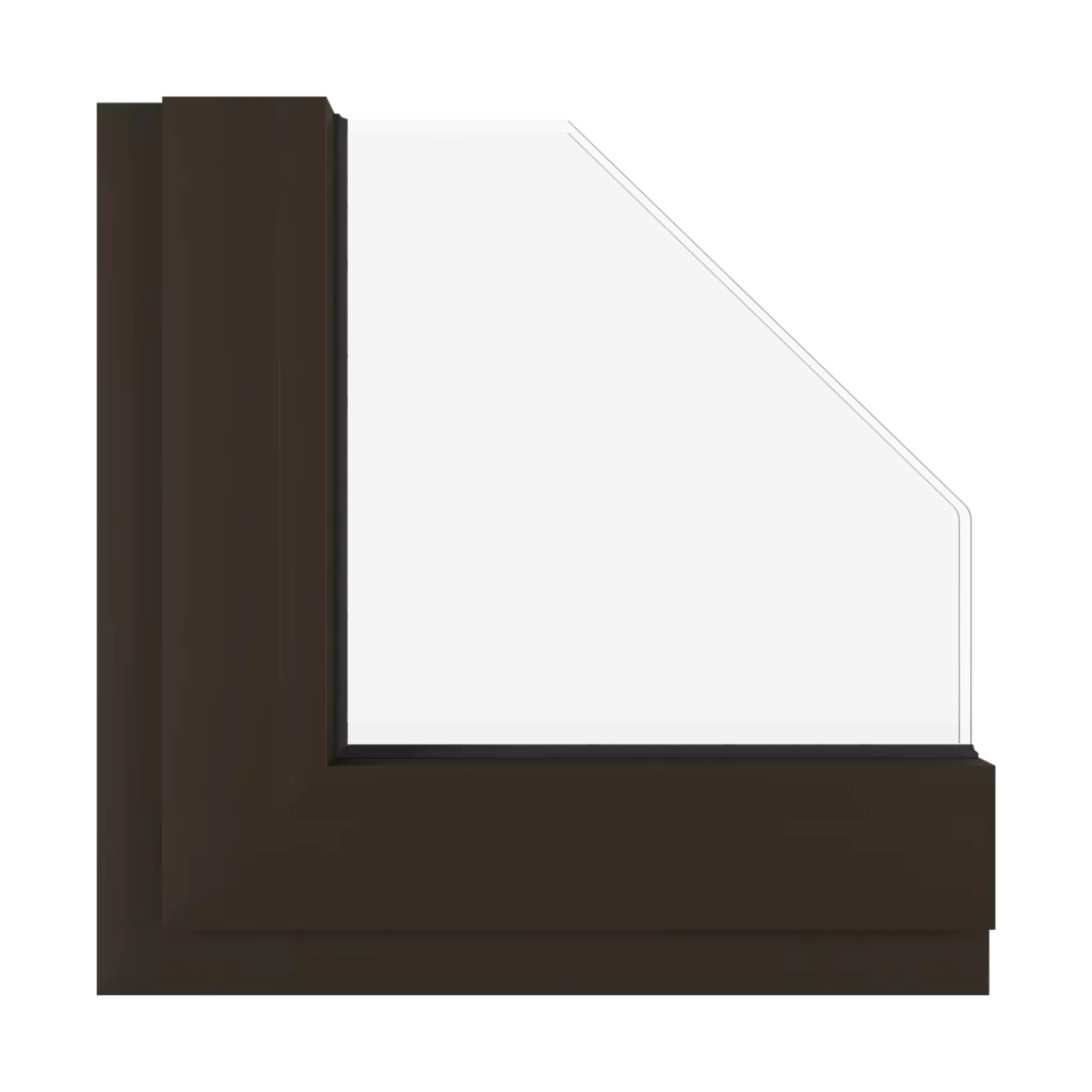 Dark brown SK windows window-colors aluprof-colors dark-brown-sk interior