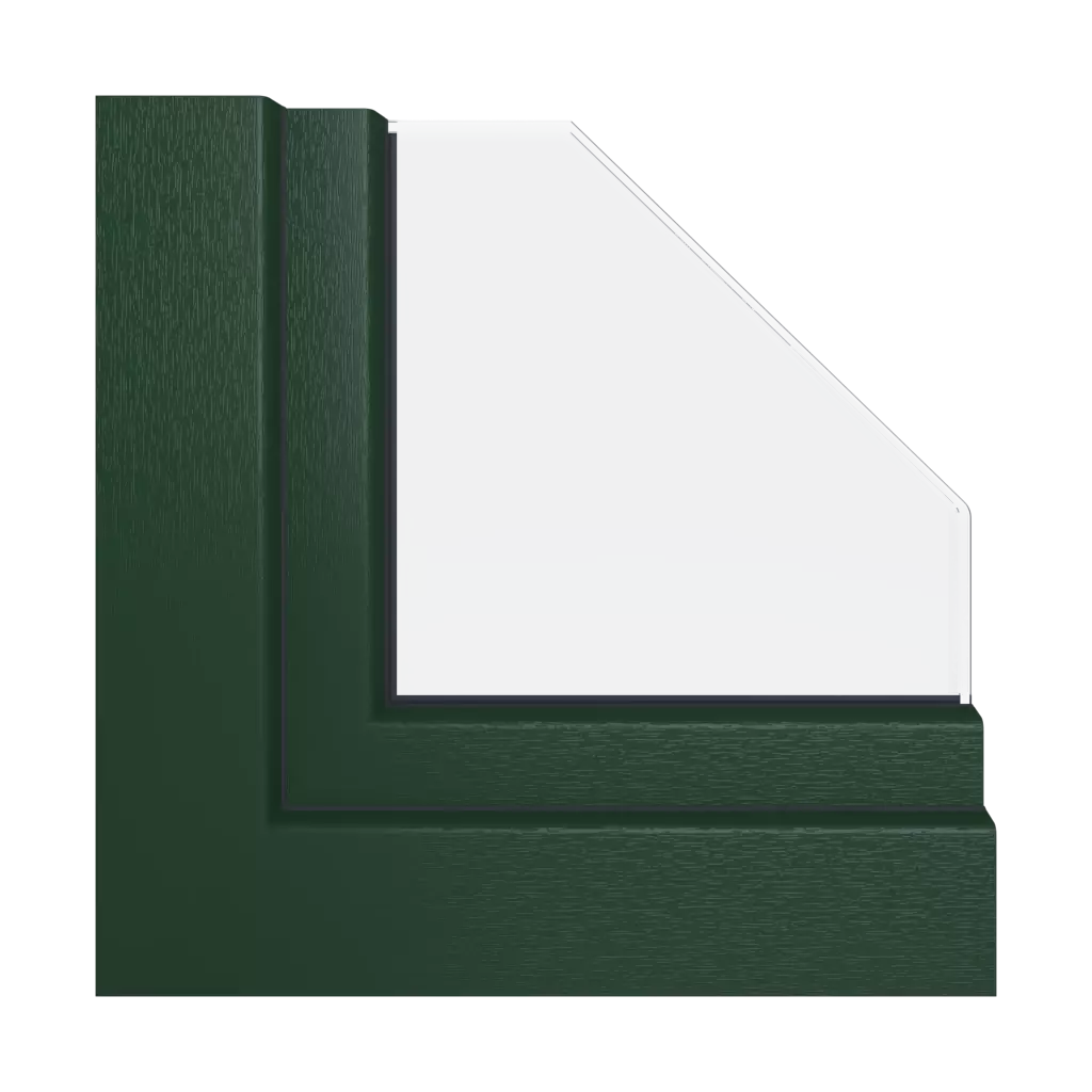 Dark green windows window-colors aluplast-colors   