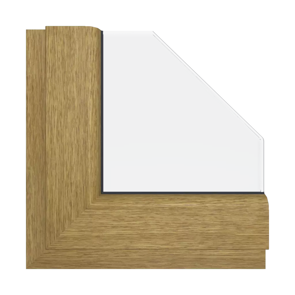 Natural oak windows window-colors aluplast-colors natural-oak interior