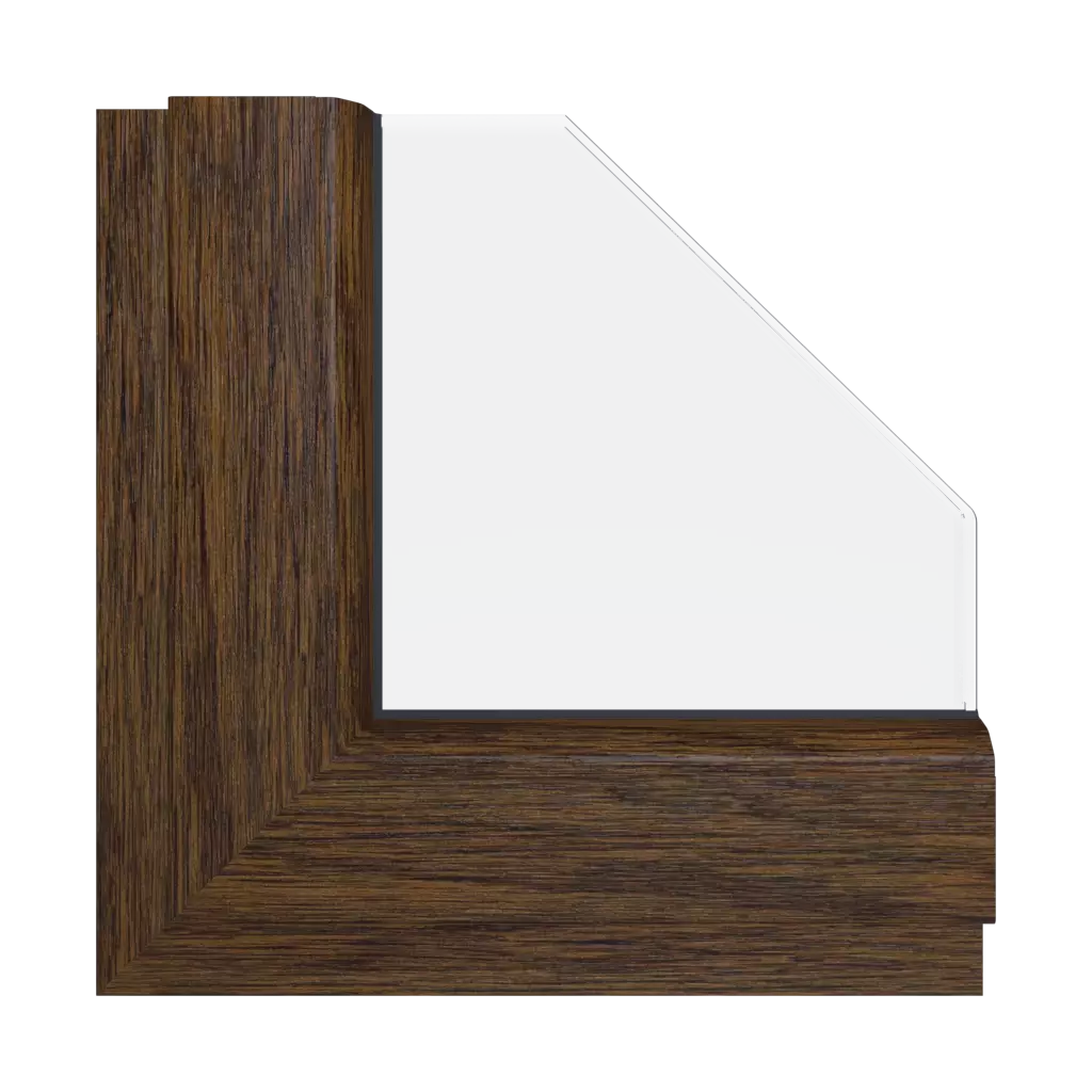 Dark oak windows window-colors aluplast-colors dark-oak interior