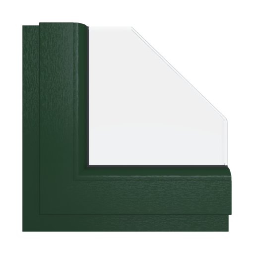 Dark green windows window-colors aluplast-colors dark-green interior