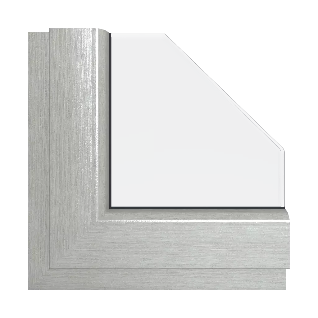 Brushed aluminum windows window-colors aluplast-colors brushed-aluminum interior