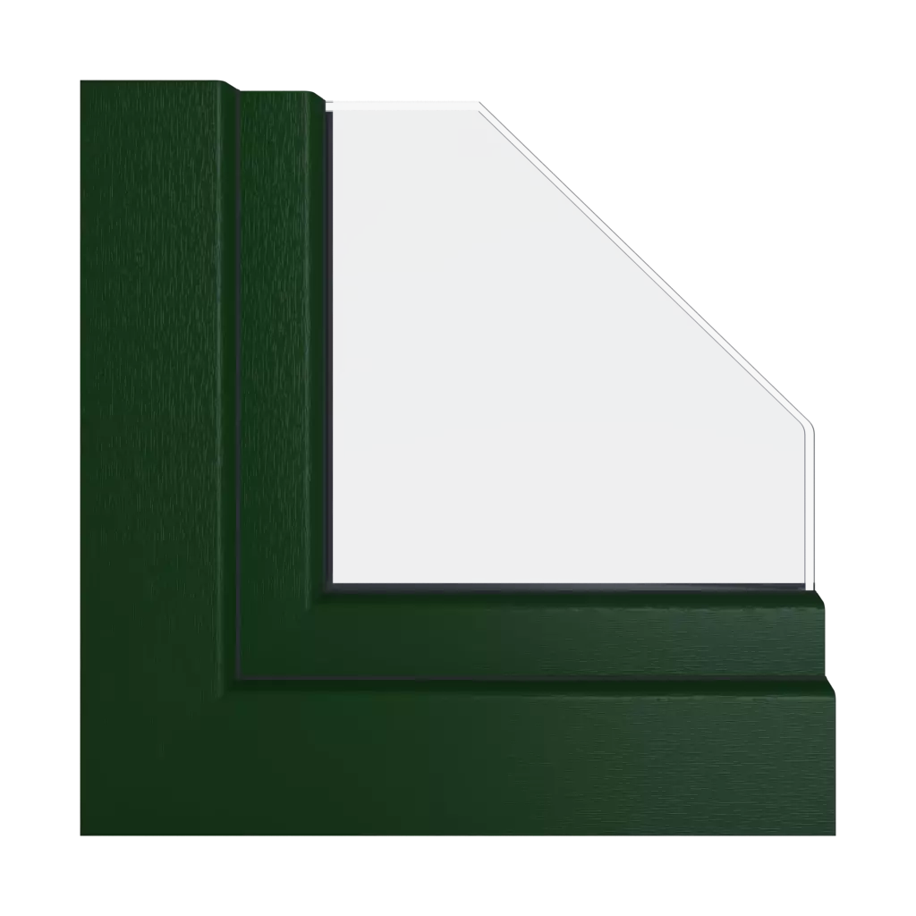 Dark green 03 windows window-colors salamander   