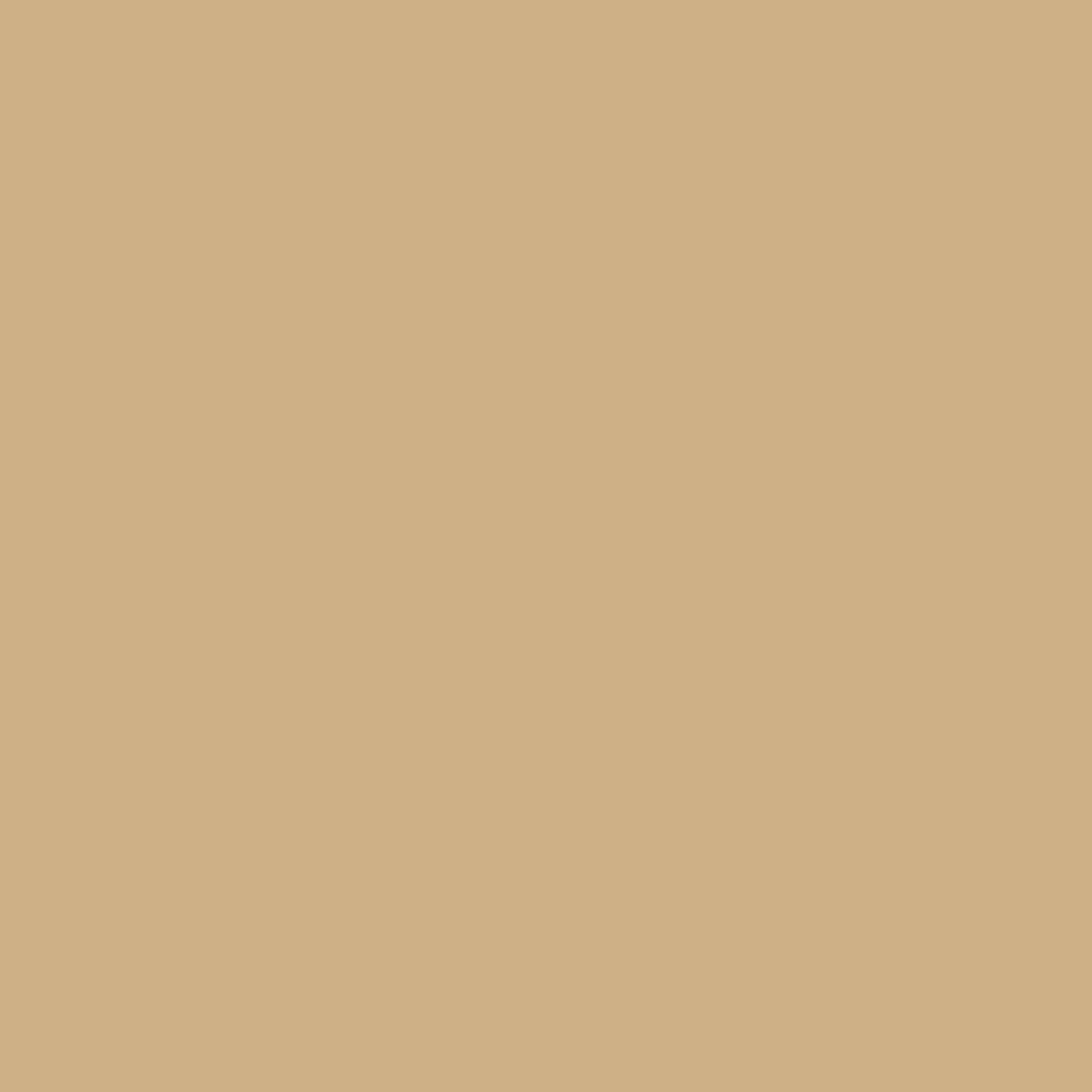 RAL 1001 Beige windows window-colors aluminum-ral ral-1001-beige texture