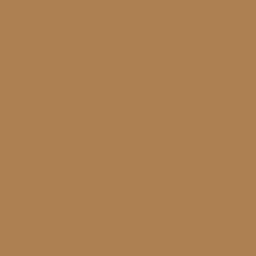 RAL 1011 Brown beige windows window-colors aluminum-ral ral-1011-brown-beige texture