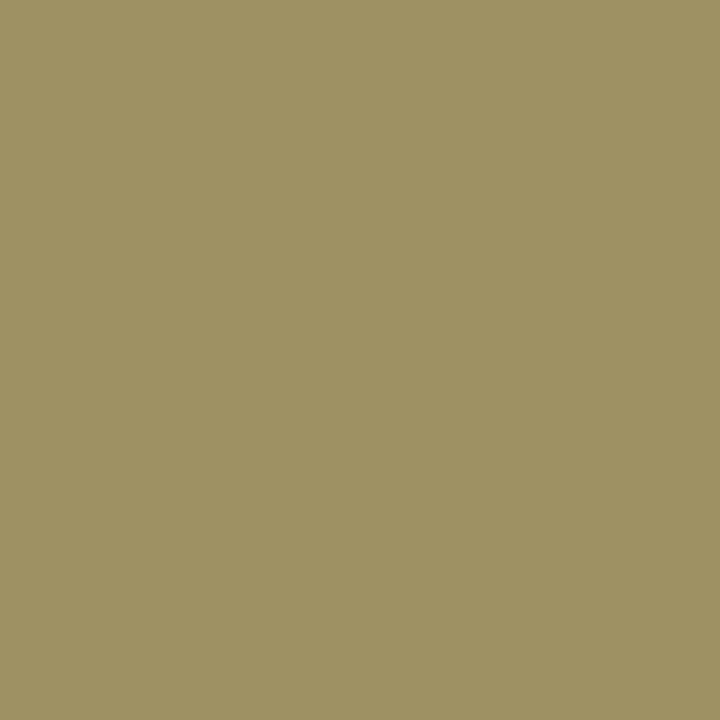 RAL 1020 Olive yellow windows window-colors aluminum-ral ral-1020-olive-yellow texture