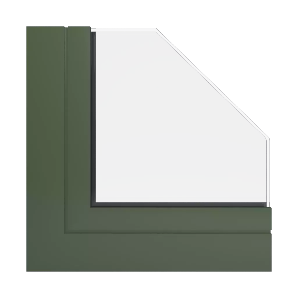 RAL 6003 Olive green windows window-colors aliplast-colors 