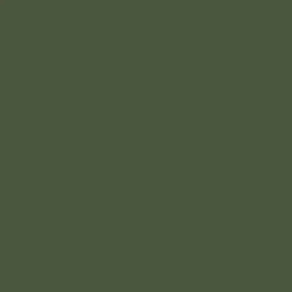 RAL 6003 Olive green windows window-colors aluminum-ral ral-6003-olive-green texture