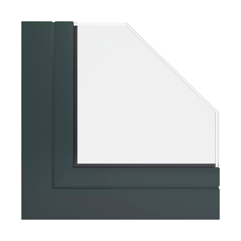 RAL 6012 Black green windows window-colors aliplast-colors 