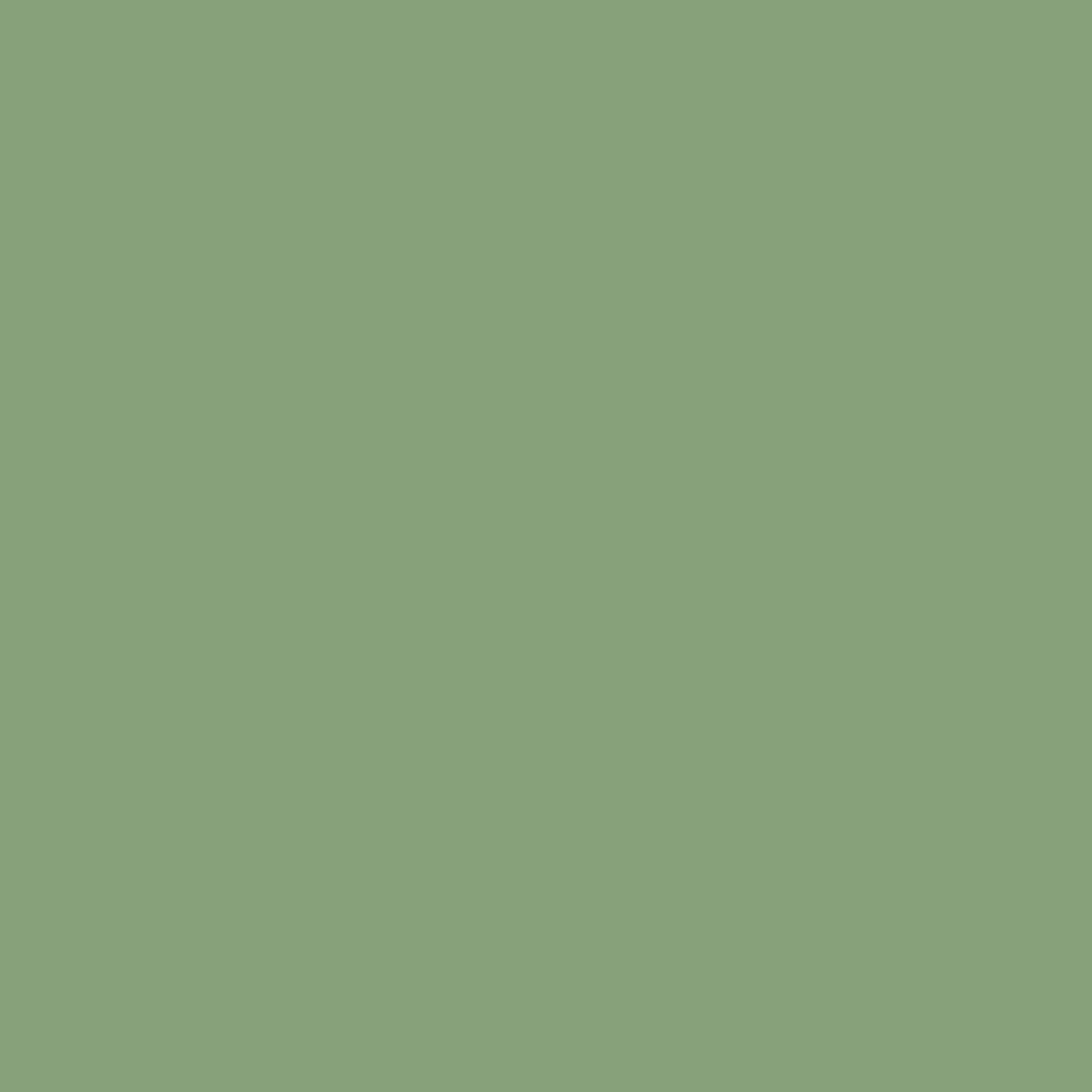 RAL 6021 Pale green windows window-colors aluminum-ral ral-6021-pale-green texture