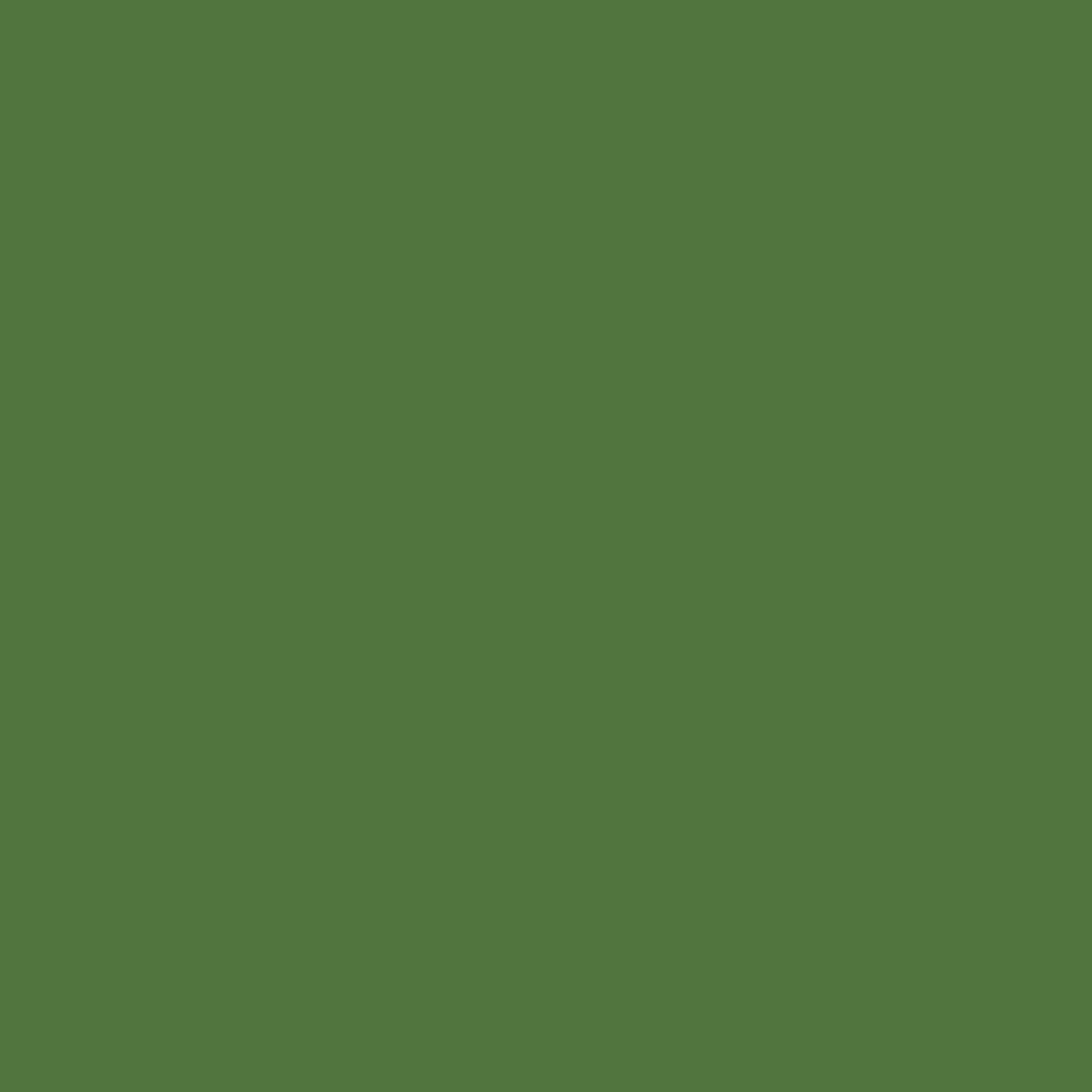 RAL 6025 Fern green windows window-colors aluminum-ral ral-6025-fern-green texture