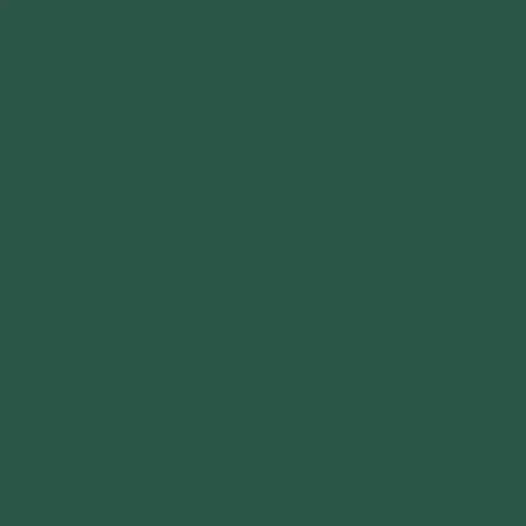 RAL 6028 Pine green windows window-colors aluminum-ral ral-6028-pine-green texture