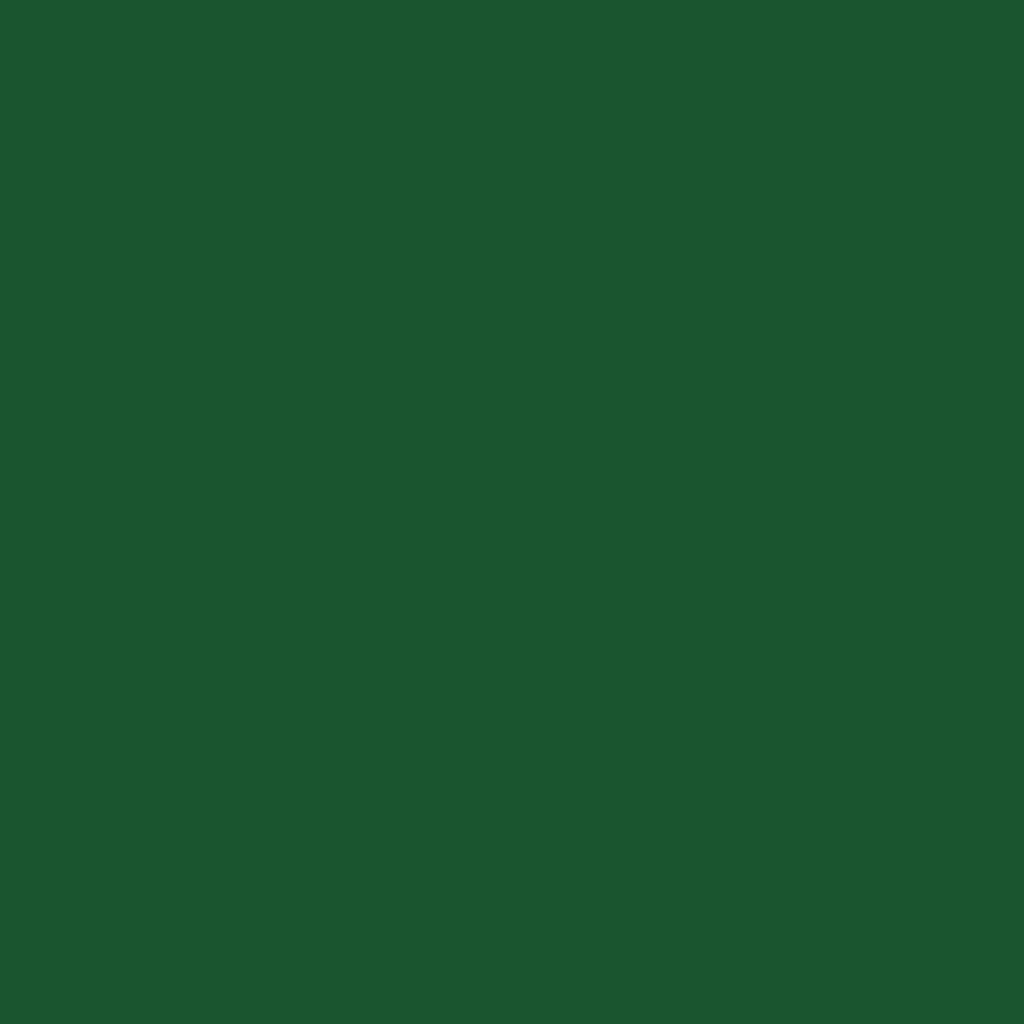 RAL 6035 Pearl green windows window-colors aluminum-ral ral-6035-pearl-green texture