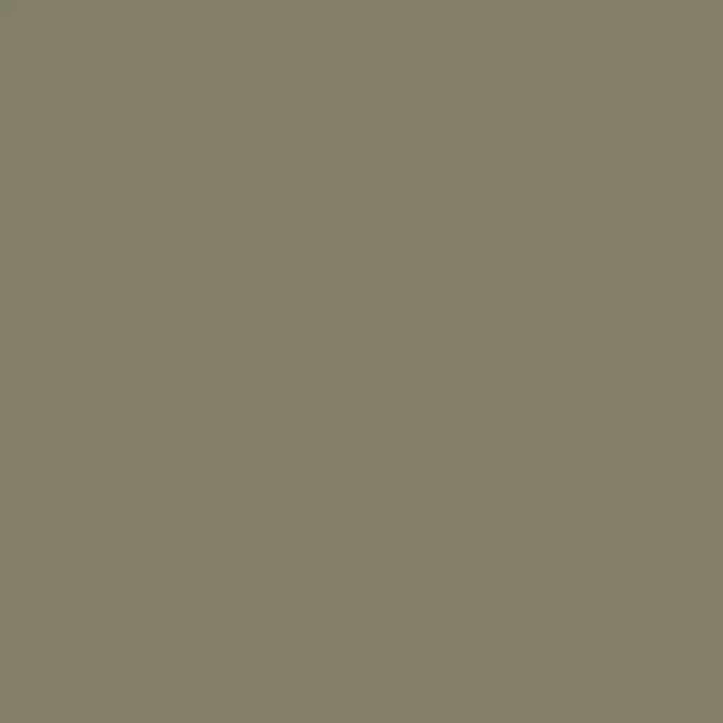 RAL 7002 Olive grey windows window-colors aluminum-ral ral-7001-silver-grey texture