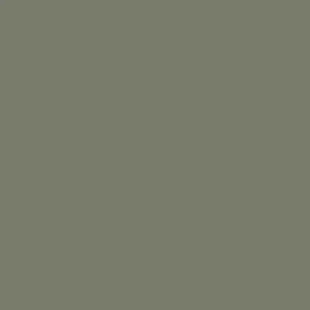 RAL 7002 Olive grey windows window-colors aluminum-ral ral-7002-olive-grey texture