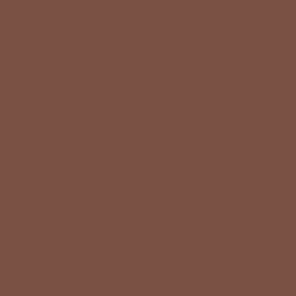 RAL 8002 Signal brown windows window-colors aluminum-ral ral-8002-signal-brown texture