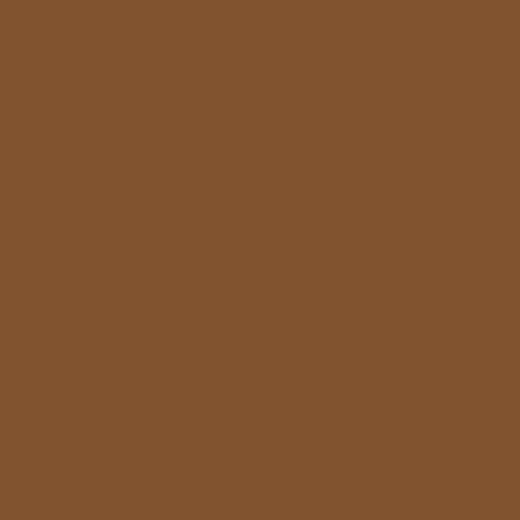 RAL 8003 Clay brown windows window-colors aluminum-ral ral-8003-clay-brown texture